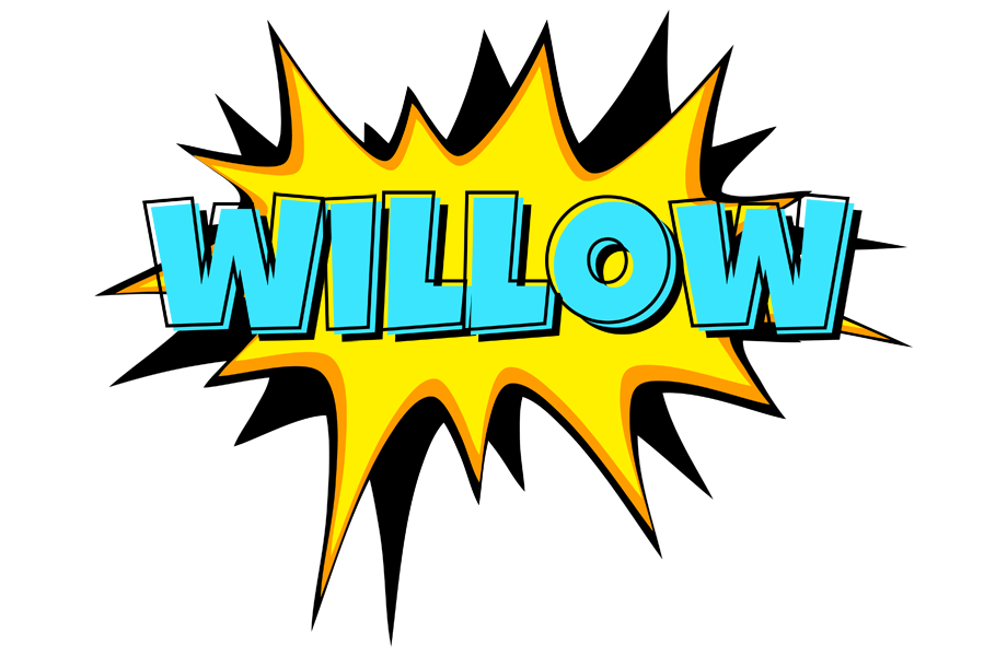 Willow indycar logo