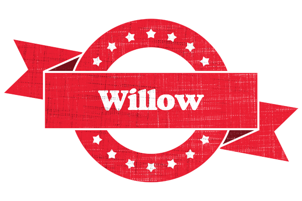 Willow passion logo