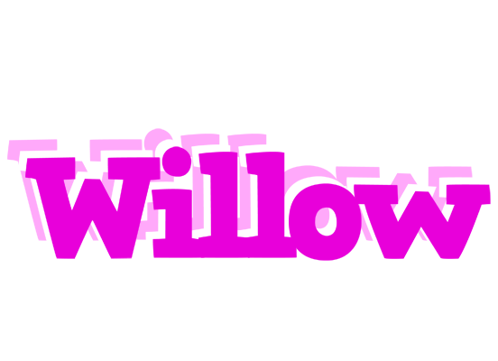 Willow rumba logo