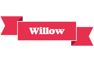 Willow sale logo