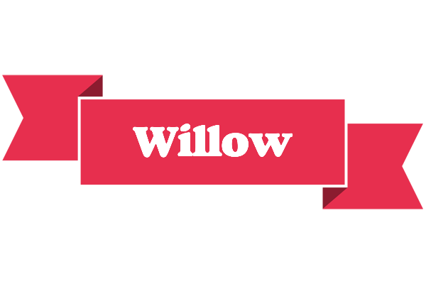 Willow sale logo