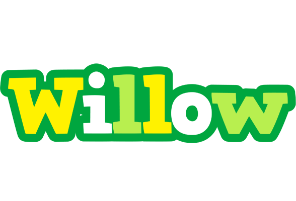 Willow soccer logo