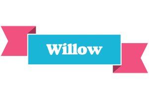 Willow today logo