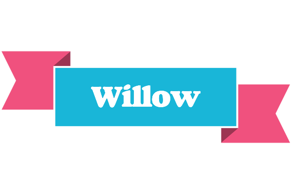 Willow today logo
