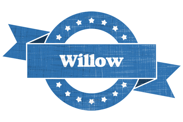Willow trust logo