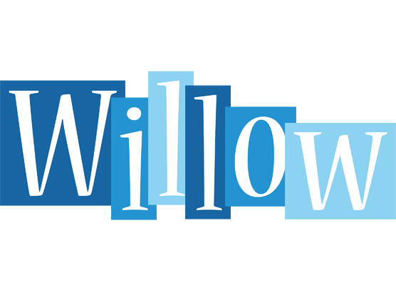 Willow winter logo