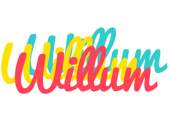 Willum disco logo