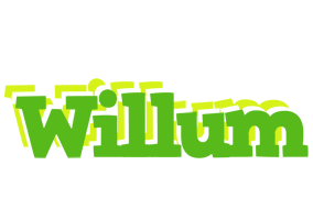 Willum picnic logo