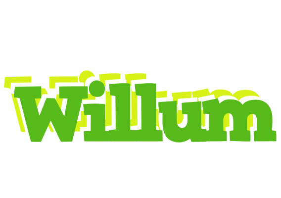 Willum picnic logo