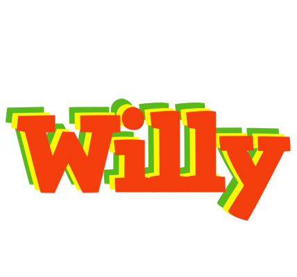Willy bbq logo