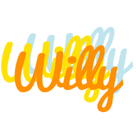 Willy energy logo