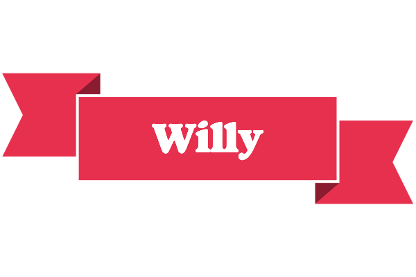 Willy sale logo