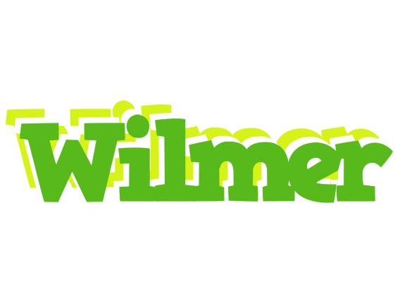 Wilmer picnic logo