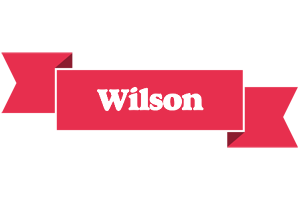 Wilson sale logo
