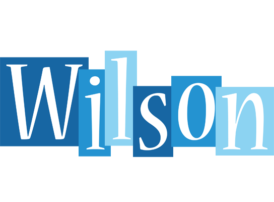 Wilson winter logo