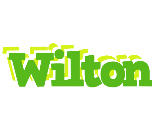 Wilton picnic logo