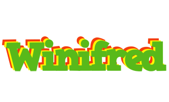 Winifred crocodile logo