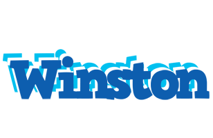 Winston business logo