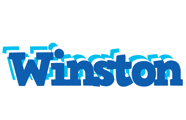 Winston business logo