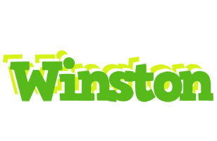 Winston picnic logo