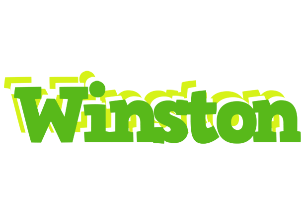 Winston picnic logo