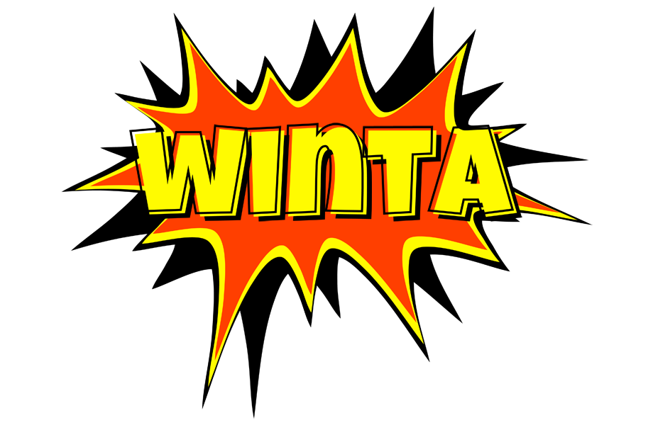 Winta bazinga logo