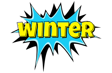 Winter amazing logo