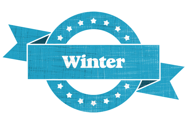 Winter balance logo