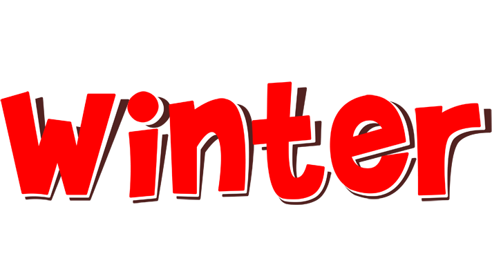Winter basket logo
