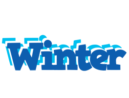 Winter business logo