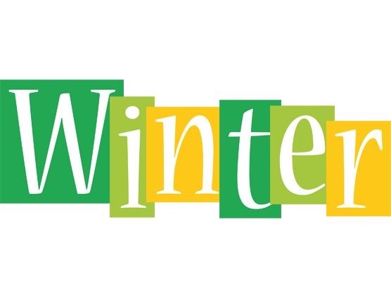 Winter lemonade logo