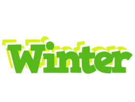 Winter picnic logo