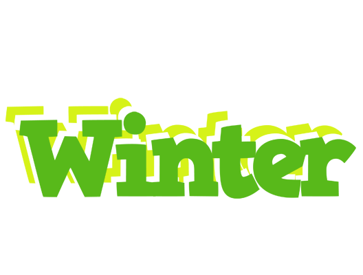 Winter picnic logo