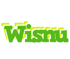 Wisnu picnic logo