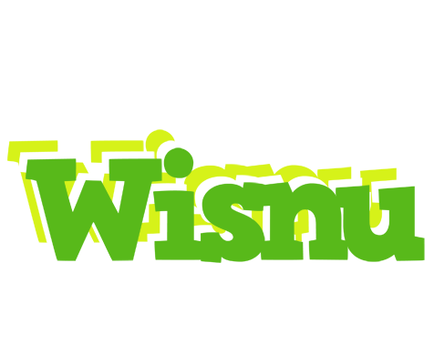 Wisnu picnic logo