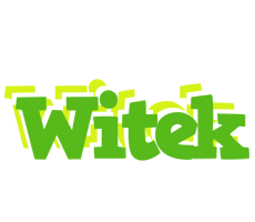 Witek picnic logo