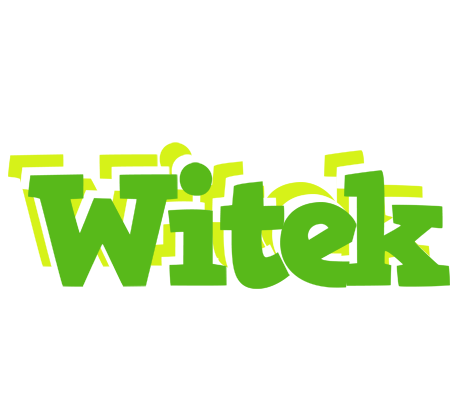 Witek picnic logo