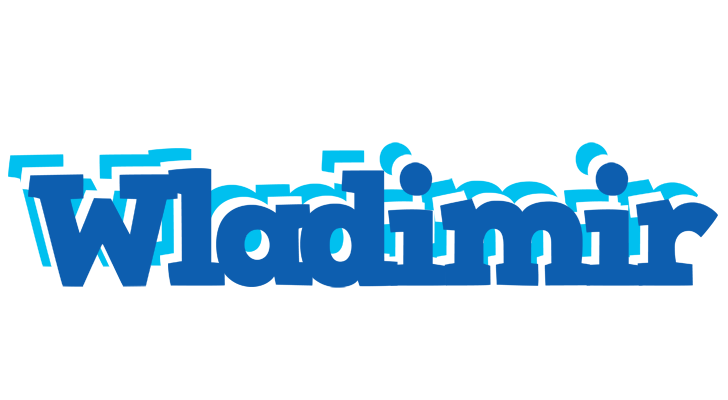 Wladimir business logo