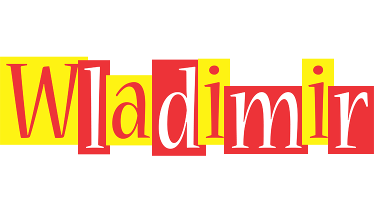 Wladimir errors logo