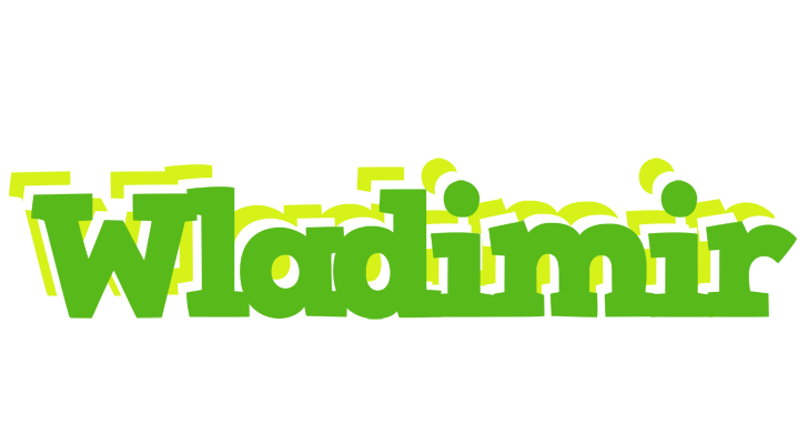 Wladimir picnic logo