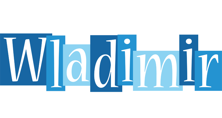 Wladimir winter logo