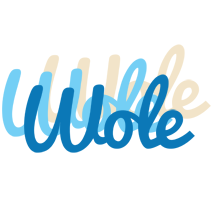 Wole breeze logo