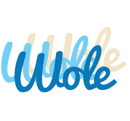 Wole breeze logo