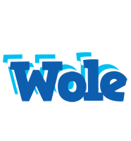 Wole business logo