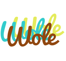 Wole cupcake logo