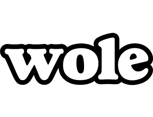 Wole panda logo