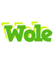 Wole picnic logo