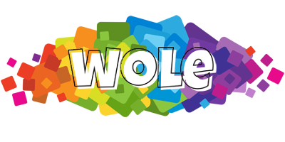 Wole pixels logo