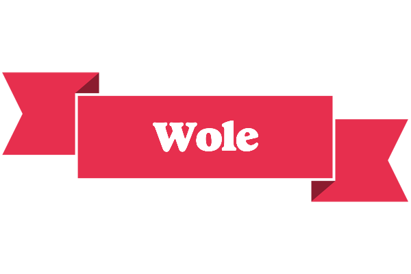 Wole sale logo
