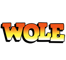 Wole sunset logo